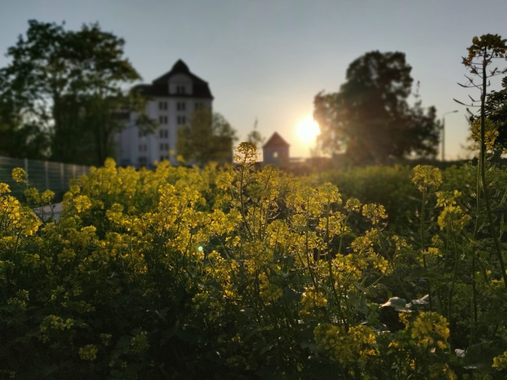 Garten am Alberthafen