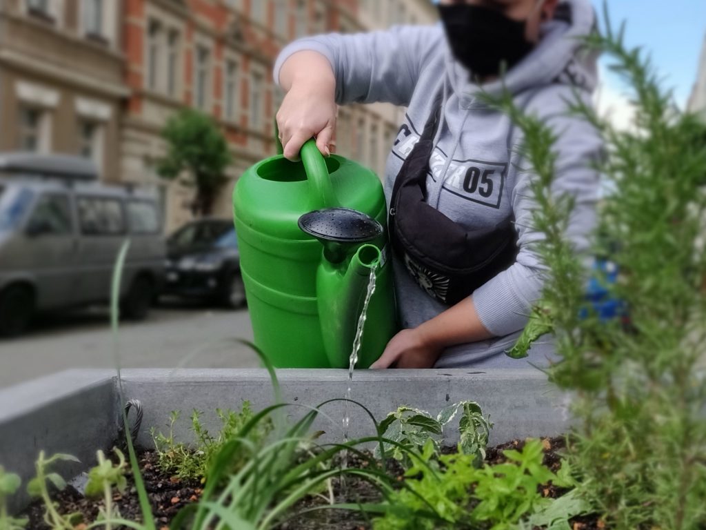 Gießen an einem Pflanzkübel in der Hechtstraße