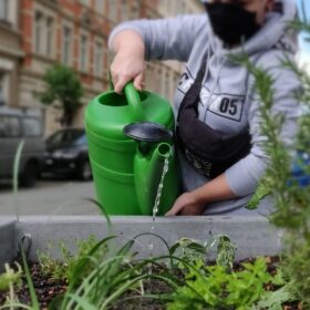 Gießen an einem Pflanzkübel in der Hechtstraße