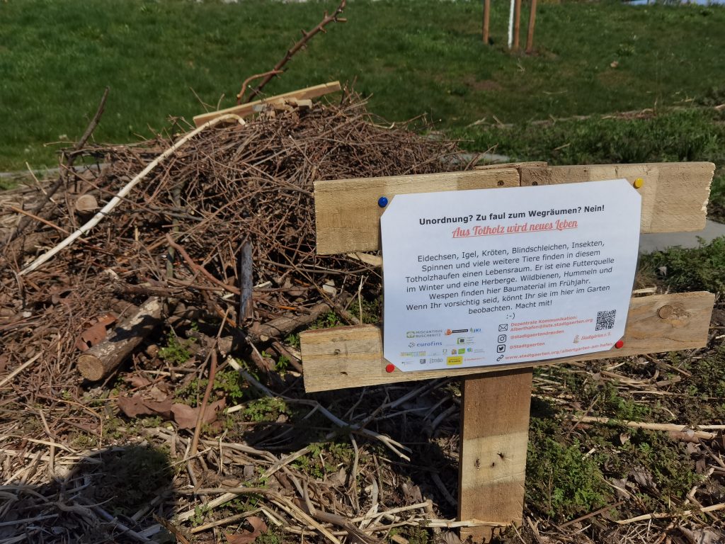 Der Totoholzhaufen im Garten am Alberthafen