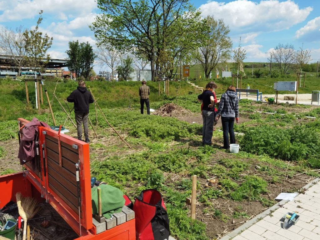 Mitwirkende auf der Gartenfläche am Alberthafen.