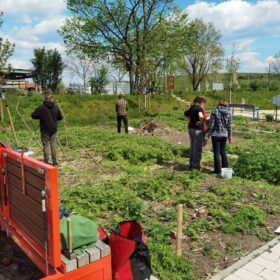 Mitwirkende auf der Gartenfläche am Alberthafen.