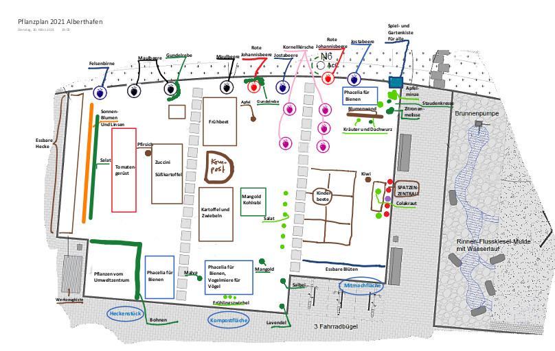 Pflanzplan vom Alberthafen. Zweiter Teil der Fläche.