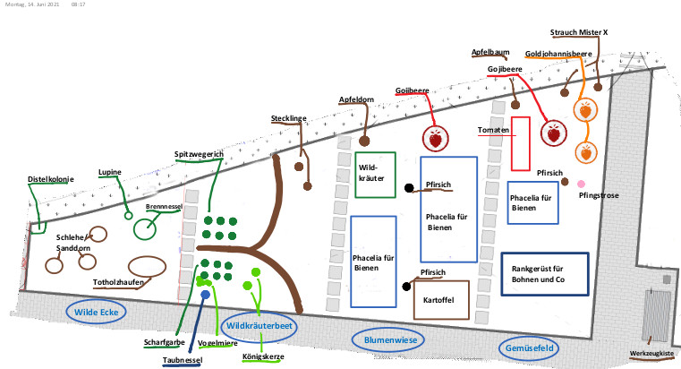 Der aktuelle Pflanzplan vom Alberthafen