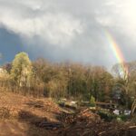 Ein Regenbogen über dem abgeholzten Wäldchen am Holunderweg.